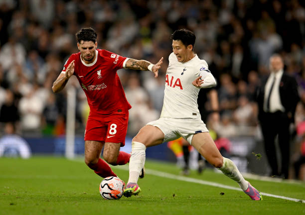 为罕见的 为罕见的