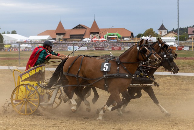 出这个决定 出这个决定